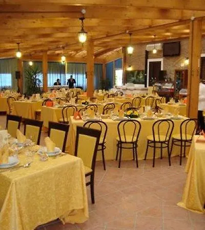 Oasi